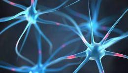老年痴呆症病因找到了！科学家实验证明元凶竟是它......