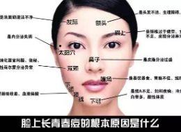 痘痘长在哪？病根就在这儿！