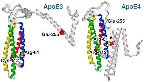 640.webp (7).jpg