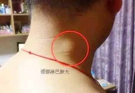 微信图片_20190611094023.jpg