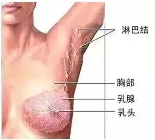 微信图片_20190611094033.jpg